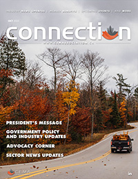 Cover of the Newsletter – October 2025 newsletter